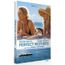 DVD FILM DVD Perfect mothers