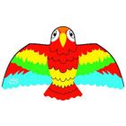 CERF-VOLANT Cerf volant - Perroquet