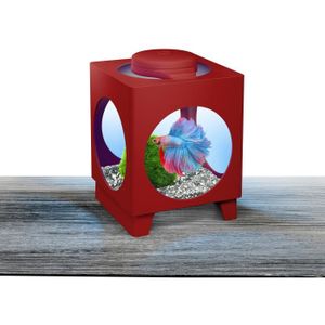 TETRA Aquarium Betta Projecteur 1,8 L - 17x23x23,5 cm - Rouge