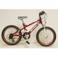 MATERIEL-ACCESSOIRES CYCLE MTB VTT Ultra Spider 20''