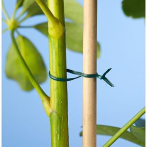 Lien plastique armé vert 50 m