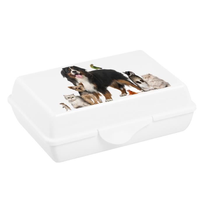 BOITE A CROQUETTE ET FRIANDISE POUR CHIEN Achat / Vente boite de