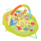  WINNIE Tapis de Jeu Arche Winnie et ses amis