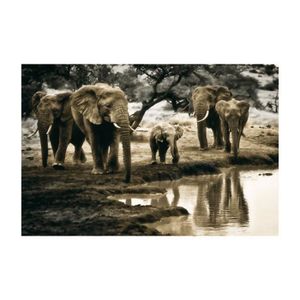 Affiche papier - Cool of the evening - Goodrich - 50x70 cm