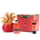 COFFRET PLAISIR ET JEUX POUR ADULTES KAMASUTRA Boite aux trésors Rêves de fraise Mixte
