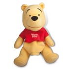 PELUCHE Winnie Marionnette StoryTeller 2 hist. + 2 chanson