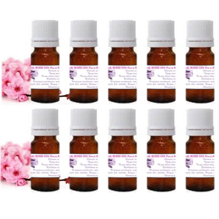 Kit Essentiel  Lot De 10 HUILES ESSENTIELLES H…  Achat / Vente huile