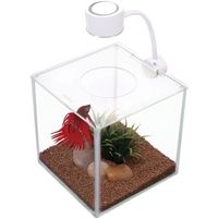 BETTA CUBUS aquarium en verre éclairage LED 3,4 L BETTA CUBUS aquarium en verre éclairage LED 3,4 L