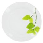 ASSIETTE - SERVICE  6 Assiettes plates rondes Ø 28 cm Daylight