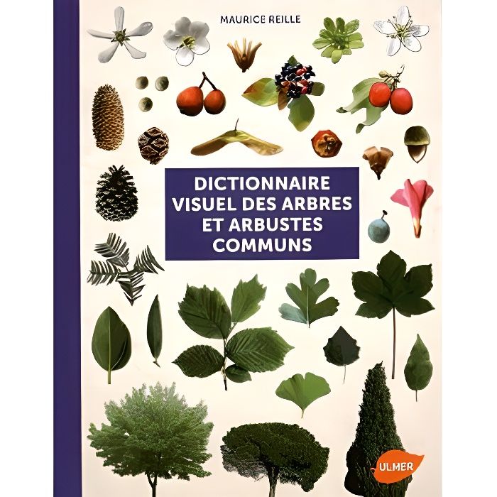 Dictionnaire Visuel Des Arbres Et Arbustes Communs