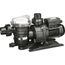 POMPE - FILTRATION  Pompe de piscine swimmey, nocchi SW 12 0.55 KW …
