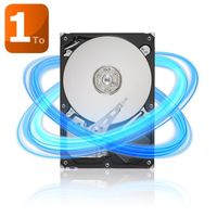 DISQUE DUR INTERNE Seagate Barracuda 1To 32Mo 3.5"