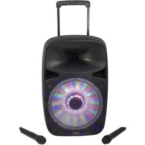 PARTY LIGHT & SOUND PARTY-SP500 Syst?me de sonorisation portable 12??/30cm - 500W avec USB/Micro VHF/Bluetooth