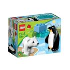  Les Animaux Polaires du Zoo  LEGO® DUPLO® 10501