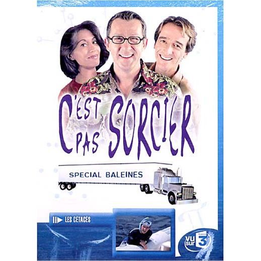 DVD C