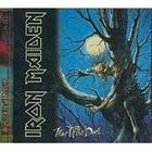 HARD ROCK IRON MAIDEN