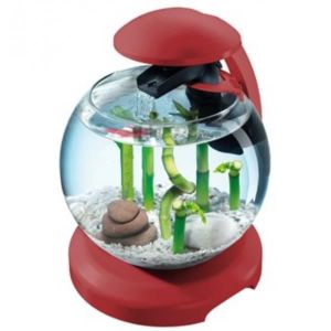 TETRA Aquarium Cascade Globe 6,8 L - Rouge bordeaux