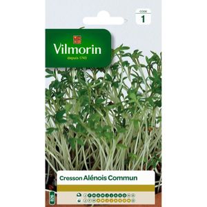 VILMORIN Cresson alenois commun
