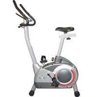 VÉLO D'APPARTEMENT WESLO Vélo de Fitness motorisé Frog