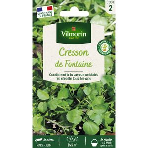 VILMORIN Cresson de Fontaine ? larges feuilles
