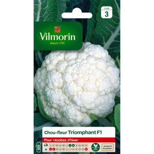 VILMORIN Chou-fleur triomphant hf1