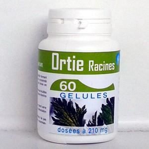 60 gélules d'Ortie racine par 123gelules : un tout petit 60 gélules d'Ortie racine par 123gelules : un tout petit
