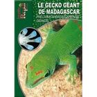  LE GECKO GEANT DE MADAGASCAR