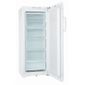 CONGELATEUR PORTE HOTPOINT UPS 1521/HA