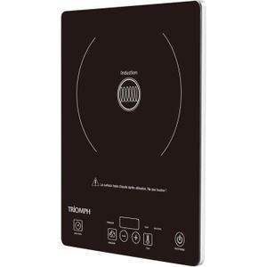 Plaque ? induction posable TRIOMPH ETF1525