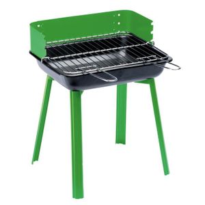 barbecue charbon magasin vert