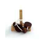 JEU DE PLATEAU  Casse-tête - IQ Test : 1 anneau 1 tige