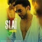  SLAI