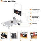 GENERAL (DIABLE - CHARRIOT - LEVE PLAQUE) Chariot de transport pliant 150 Kg MEISTER