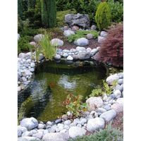 Kit bassin start 150 + XTRA 400 Kit bassin start 150 + XTRA 400