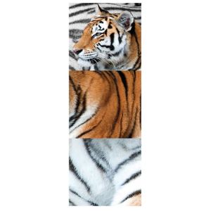 PLAGE Sticker déco - Bengali1 Planche 24x68cm