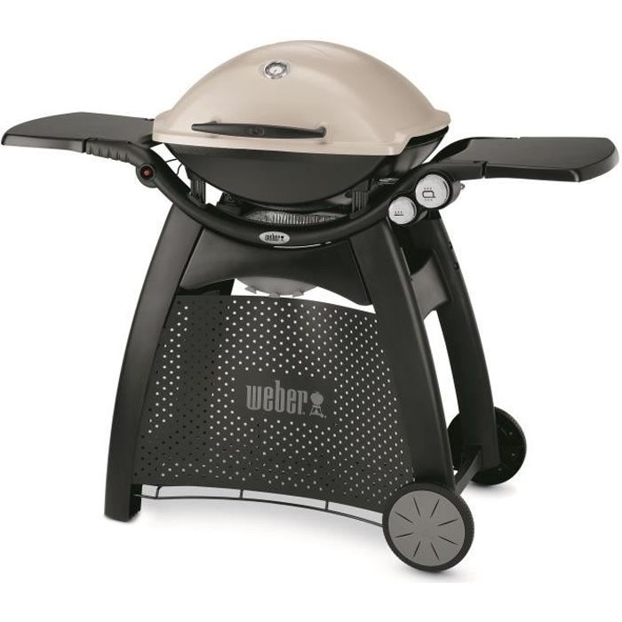 WEBER Barbecue à gaz Q 3000 Fonte d
