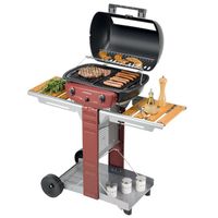 BARBECUE - PLANCHA CAMPINGAZ Barbecue à gaz EL PRADO 1800 WOODY