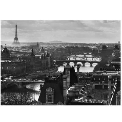 Puzzle 1000 pièces : Paris et la Seine Achat / Vente puzzle Puzzle