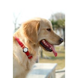 TECHNAXX Fittypet TX-46 Tracker d'activité connecté - Pour chien