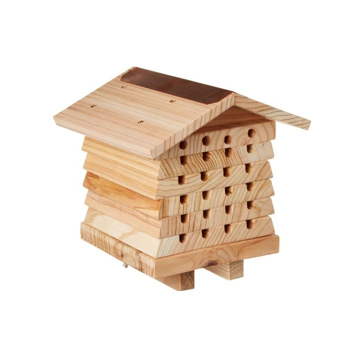 ruche pour abeilles solitaires - Achat / Vente vivarium ...