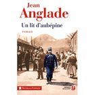 LITTERATURE - ROMANS Un lit d'aubépine