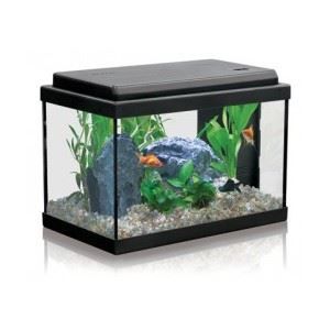 Aquatlantis Aquarium Atlantis 40 - Achat / Vente aquarium ...