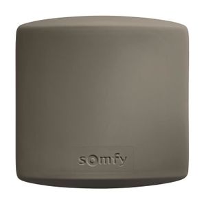 SOMFY Récepteur radio universel pour motorisation