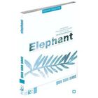 DVD FILM DVD Elephant