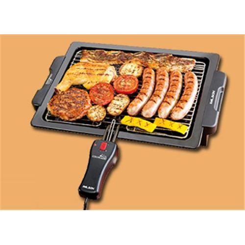 barbecue familial pas cher