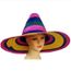 CHAPEAU - PERRUQUE CHAPEAU MEXICAIN SOMBRERO ROSE VERT JAUNE BLEU …