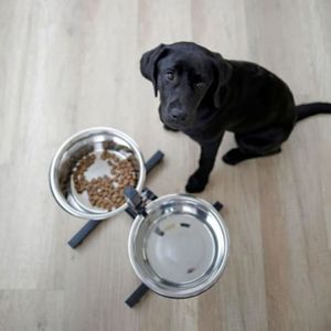 KERBL Bar alimentation avec écuelle pour chien - 2x2800ml