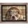 PAILLASSON Pets 27 Paillasson Absorbant
