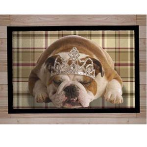 PAILLASSON Pets 27 Paillasson Absorbant