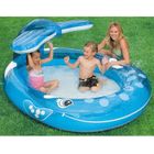  Piscine fontaine Baleine